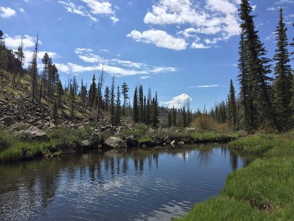 Pinetop Studio Suites Екстериор снимка